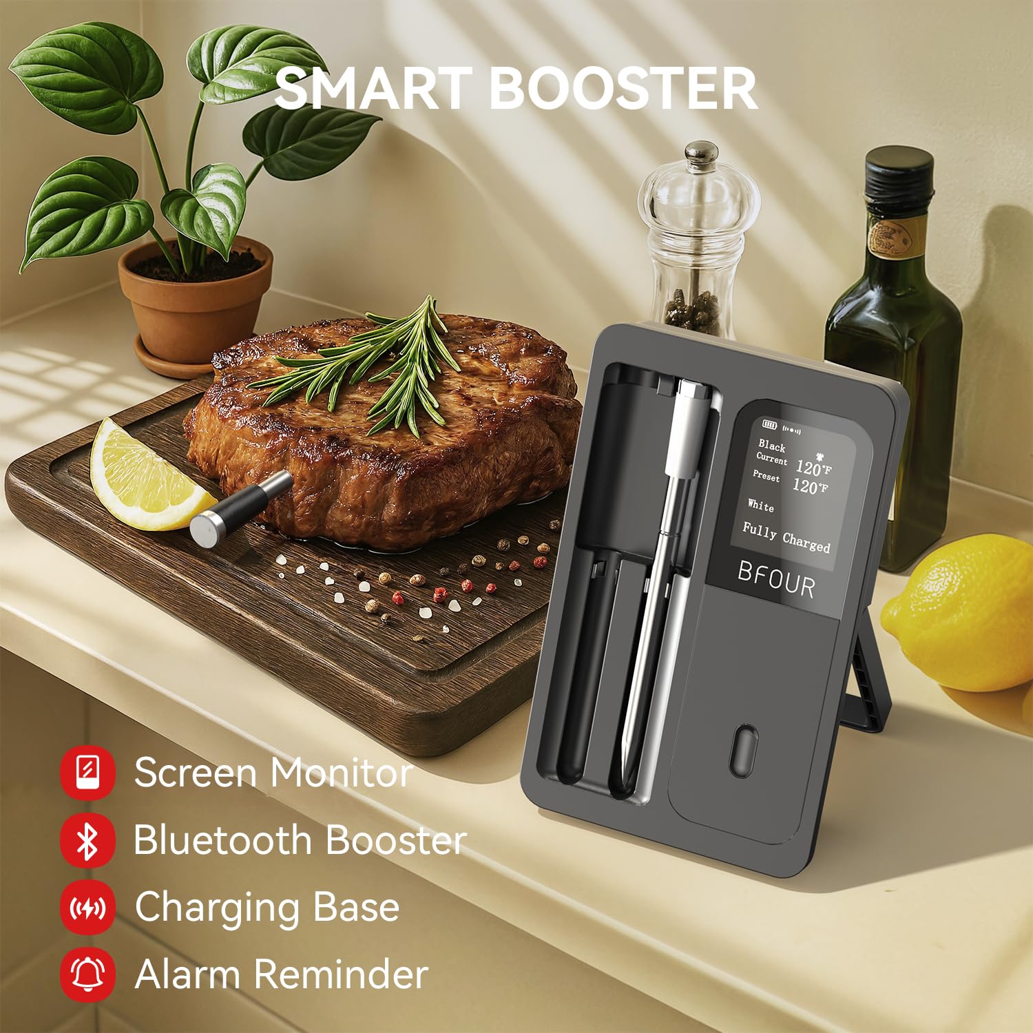 Wireless Meat Thermometer Blue - Kitchen Appliances Video review and price