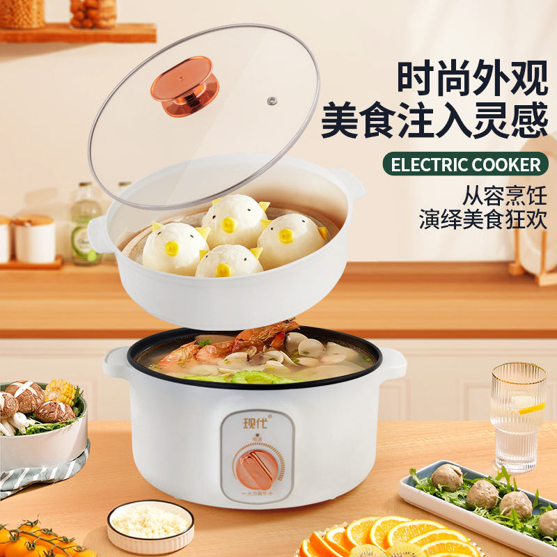 Multifunctional Mini Electric  - Kitchen Appliances Cooking review and price