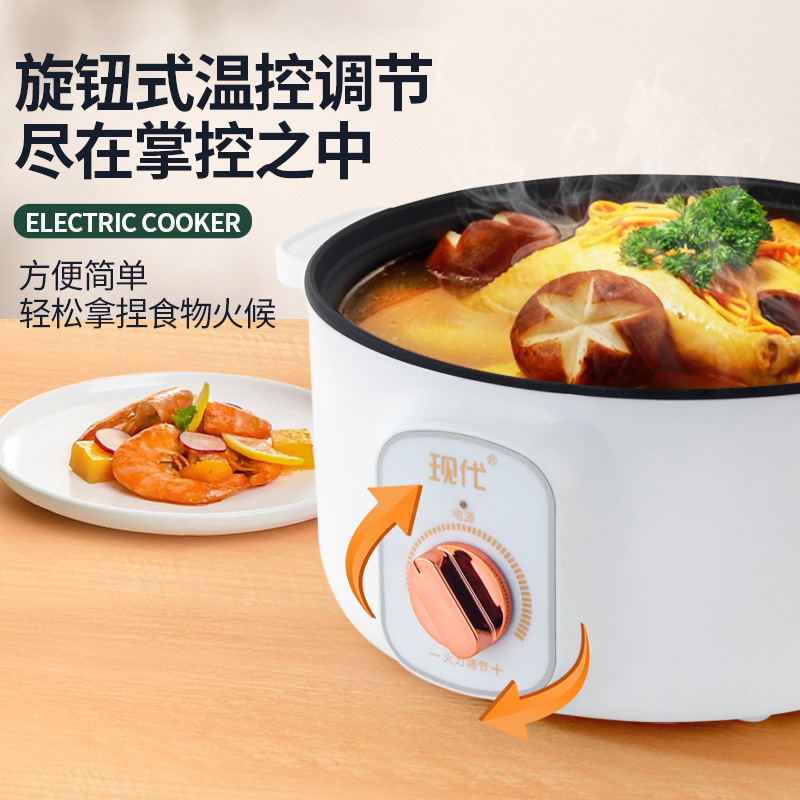 Multifunctional Mini Electric  - Kitchen Appliances Cooking review and price