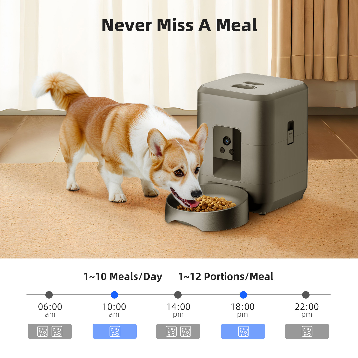 2L Automatic Pet Feeder Cat Sm - Kitchen Appliances Video review and price